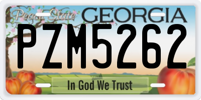GA license plate PZM5262