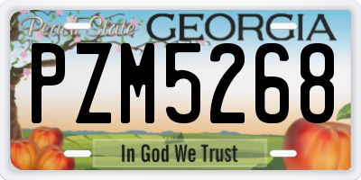 GA license plate PZM5268