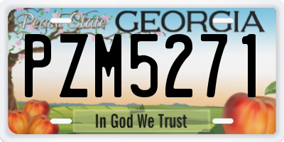GA license plate PZM5271
