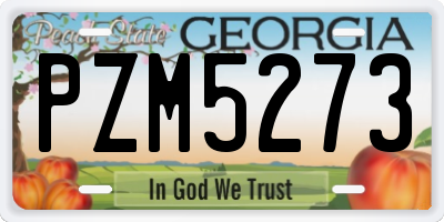 GA license plate PZM5273