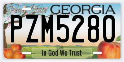 GA license plate PZM5280