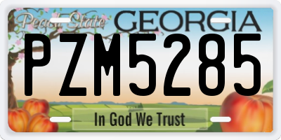 GA license plate PZM5285