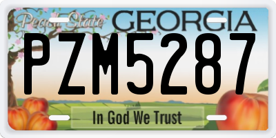 GA license plate PZM5287