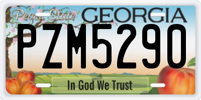 GA license plate PZM5290