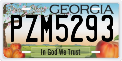 GA license plate PZM5293