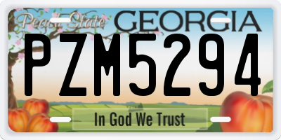 GA license plate PZM5294