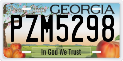 GA license plate PZM5298