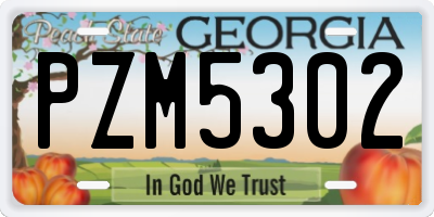 GA license plate PZM5302