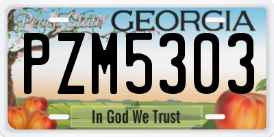 GA license plate PZM5303