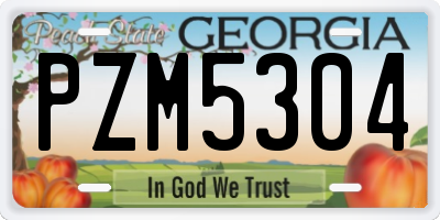 GA license plate PZM5304