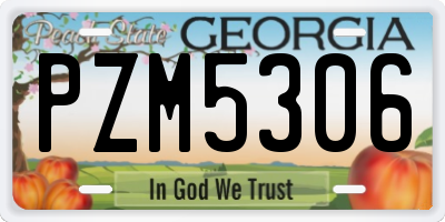 GA license plate PZM5306