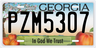 GA license plate PZM5307