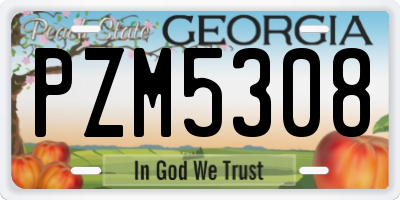 GA license plate PZM5308