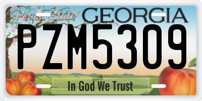 GA license plate PZM5309