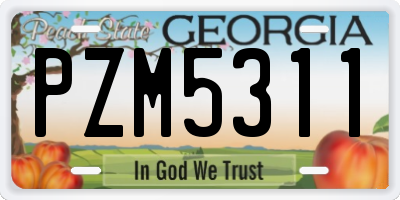 GA license plate PZM5311