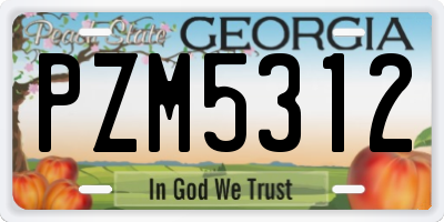 GA license plate PZM5312