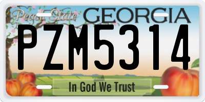 GA license plate PZM5314