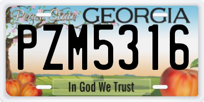 GA license plate PZM5316