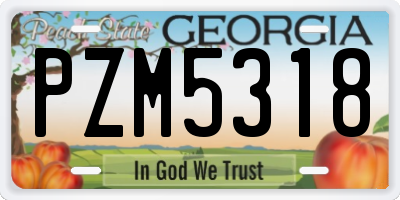 GA license plate PZM5318
