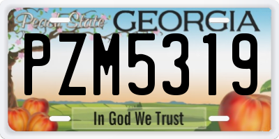 GA license plate PZM5319