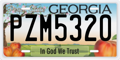 GA license plate PZM5320