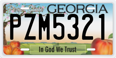GA license plate PZM5321