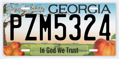 GA license plate PZM5324