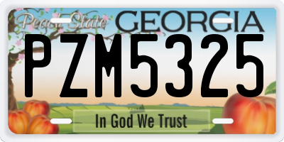 GA license plate PZM5325