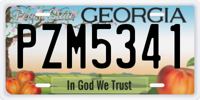 GA license plate PZM5341