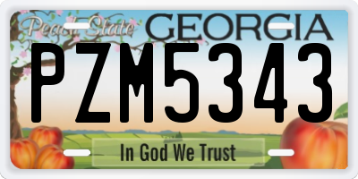 GA license plate PZM5343