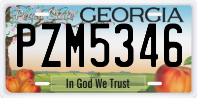 GA license plate PZM5346