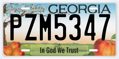 GA license plate PZM5347
