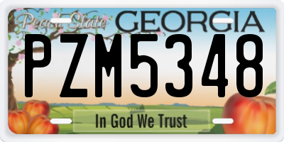 GA license plate PZM5348