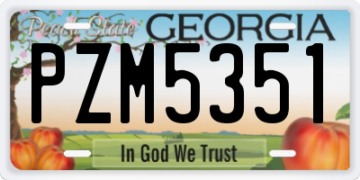 GA license plate PZM5351