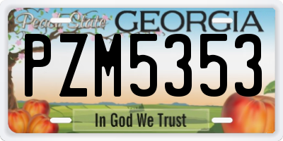 GA license plate PZM5353