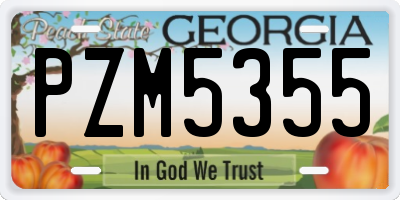 GA license plate PZM5355