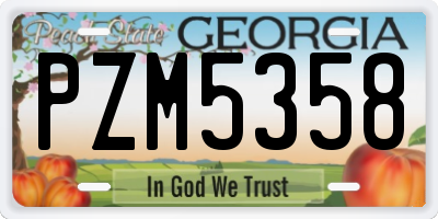 GA license plate PZM5358