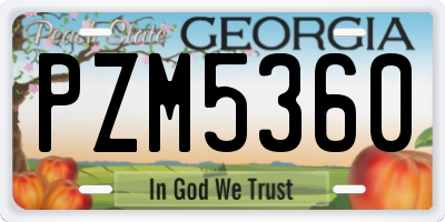 GA license plate PZM5360