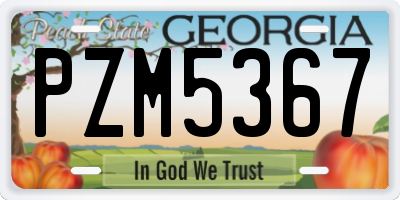 GA license plate PZM5367