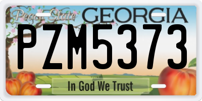 GA license plate PZM5373