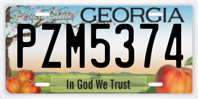 GA license plate PZM5374