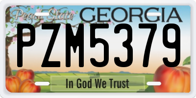 GA license plate PZM5379