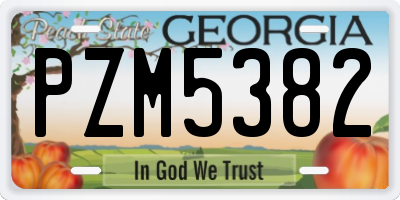 GA license plate PZM5382
