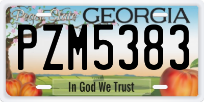 GA license plate PZM5383