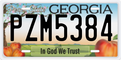 GA license plate PZM5384