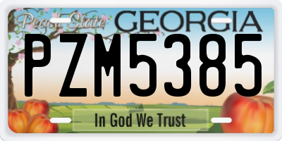 GA license plate PZM5385