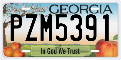 GA license plate PZM5391