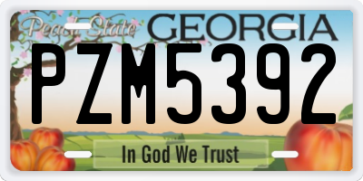 GA license plate PZM5392