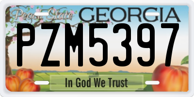 GA license plate PZM5397