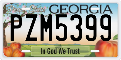 GA license plate PZM5399